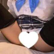 ヒメ日記 2025/11/26 08:32 投稿 こむぎ【ゴールドアロー】 Arrows 苫小牧・千歳店