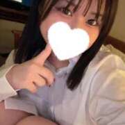 ヒメ日記 2025/11/26 09:18 投稿 こむぎ【ゴールドアロー】 Arrows 苫小牧・千歳店