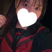 ヒメ日記 2025/11/28 21:38 投稿 こむぎ【ゴールドアロー】 Arrows 苫小牧・千歳店