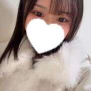 ヒメ日記 2025/12/10 07:28 投稿 こむぎ【ゴールドアロー】 Arrows 苫小牧・千歳店