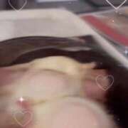 ヒメ日記 2025/12/11 12:28 投稿 こむぎ【ゴールドアロー】 Arrows 苫小牧・千歳店