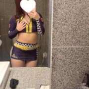 ヒメ日記 2025/12/15 08:38 投稿 こむぎ【ゴールドアロー】 Arrows 苫小牧・千歳店