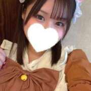 ヒメ日記 2025/12/30 03:08 投稿 こむぎ【ゴールドアロー】 Arrows 苫小牧・千歳店