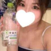 ヒメ日記 2025/12/30 09:48 投稿 こむぎ【ゴールドアロー】 Arrows 苫小牧・千歳店