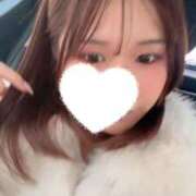 ヒメ日記 2026/01/16 06:08 投稿 こむぎ【ゴールドアロー】 Arrows 苫小牧・千歳店