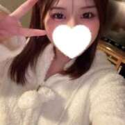 ヒメ日記 2026/02/16 17:28 投稿 こむぎ【ゴールドアロー】 Arrows 苫小牧・千歳店