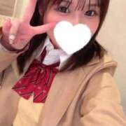 ヒメ日記 2026/02/19 16:58 投稿 こむぎ【ゴールドアロー】 Arrows 苫小牧・千歳店