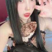 えれん【ゴールドアロー】 ご褒美は？？🐱 Arrows 苫小牧・千歳店