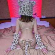 ヒメ日記 2025/12/30 11:28 投稿 てと【ゴールドアロー】 Arrows 苫小牧・千歳店