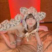 ヒメ日記 2026/02/21 11:28 投稿 てと【ゴールドアロー】 Arrows 苫小牧・千歳店