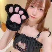 ヒメ日記 2026/02/28 12:58 投稿 てと【ゴールドアロー】 Arrows 苫小牧・千歳店