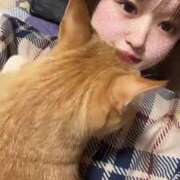 ヒメ日記 2025/08/08 20:38 投稿 みほの【シルバーアロー】 Arrows 苫小牧・千歳店