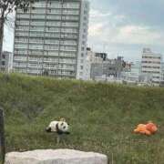 ヒメ日記 2025/09/23 10:18 投稿 みほの【シルバーアロー】 Arrows 苫小牧・千歳店