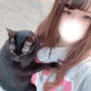 ヒメ日記 2025/11/15 11:58 投稿 みほの【シルバーアロー】 Arrows 苫小牧・千歳店