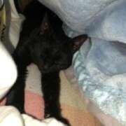 ヒメ日記 2025/11/16 06:18 投稿 みほの【シルバーアロー】 Arrows 苫小牧・千歳店