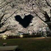 ヒメ日記 2026/02/10 21:28 投稿 みほの【シルバーアロー】 Arrows 苫小牧・千歳店