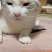 ヒメ日記 2026/07/01 19:28 投稿 みほの【シルバーアロー】 Arrows 苫小牧・千歳店