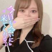 ヒメ日記 2025/09/22 00:28 投稿 りりな【ゴールドアロー】 Arrows 苫小牧・千歳店