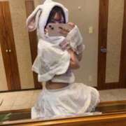 なのか【ゴールドアロー】 🈵 完売 Arrows 苫小牧・千歳店