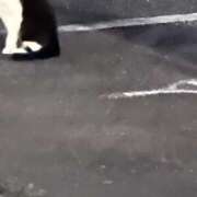 ヒメ日記 2025/06/16 22:21 投稿 すず マリン土浦本店