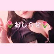 ヒメ日記 2025/06/19 13:51 投稿 すず マリン土浦本店