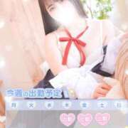 ヒメ日記 2025/07/02 12:51 投稿 すず マリン土浦本店