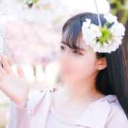 ヒメ日記 2025/07/29 12:27 投稿 すず マリン土浦本店