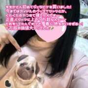 ヒメ日記 2025/06/29 07:00 投稿 ももか 派遣型JKリフレ ぷるぷる錦糸町