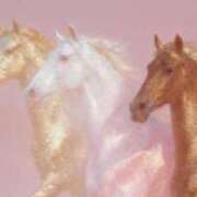 ヒメ日記 2026/01/24 13:47 投稿 あさひ ミセスロマン(上尾)