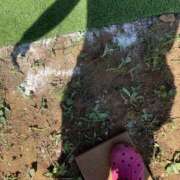 ヒメ日記 2025/06/23 00:44 投稿 さとみ 八王子デリ倶楽部