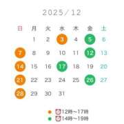 井澤さつき 〜12月スケジュール〜 人妻百花