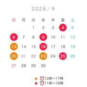 井澤さつき 〜９月スケジュール〜 ちょうどいい奥さん