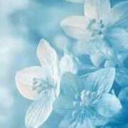 ヒメ日記 2025/11/08 18:09 投稿 まお 鶯谷おかあさん