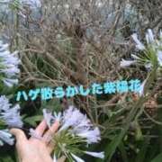 ヒメ日記 2025/07/14 11:30 投稿 ひかり 丸妻 横浜本店