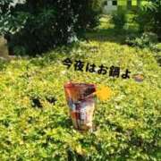 ヒメ日記 2025/09/18 19:22 投稿 ひかり 丸妻 横浜本店