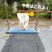 ヒメ日記 2025/10/01 19:56 投稿 ひかり 丸妻 横浜本店