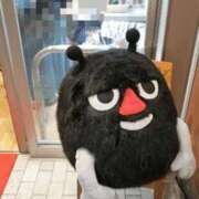 ヒメ日記 2025/11/06 19:03 投稿 ひかり 丸妻 横浜本店