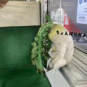 ヒメ日記 2026/01/27 10:12 投稿 ひかり 丸妻 横浜本店