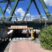 ヒメ日記 2026/05/25 12:13 投稿 ひかり 丸妻 横浜本店
