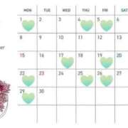 ヒメ日記 2025/08/23 02:55 投稿 すみれ Noble