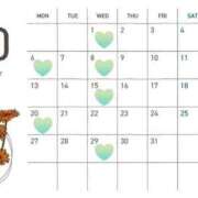 ヒメ日記 2025/09/25 16:15 投稿 すみれ Noble