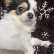 ヒメ日記 2025/11/17 14:04 投稿 かえで 奥さまさくら京橋店