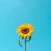 ヒメ日記 2025/07/27 07:33 投稿 あい 池袋人妻城