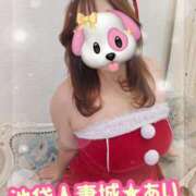 ヒメ日記 2025/12/29 09:12 投稿 あい 池袋人妻城