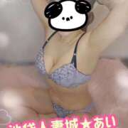 ヒメ日記 2026/01/12 10:48 投稿 あい 池袋人妻城