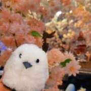 ヒメ日記 2026/03/29 07:33 投稿 あい 池袋人妻城