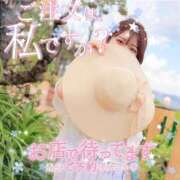 ヒメ日記 2025/08/02 11:48 投稿 すず 厚木人妻城