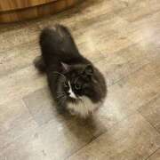 ヒメ日記 2025/06/14 14:32 投稿 ましろ 横浜ミセスアロマ（ユメオト）