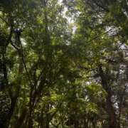 ヒメ日記 2025/06/13 15:27 投稿 じゅん ニューヨーカー