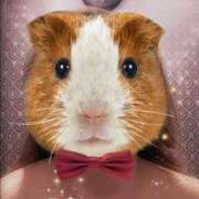 ヒメ日記 2025/07/07 23:21 投稿 じゅん ニューヨーカー